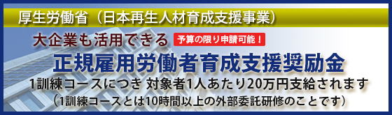 大企業も活用できる正規雇用労働者育成支援奨励金